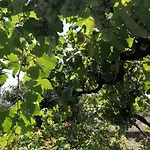 Morin Grey Casa En El Corazon De La Ribeira Sacra