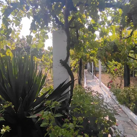 Morin Grey Casa En El Corazon De La Ribeira Sacra