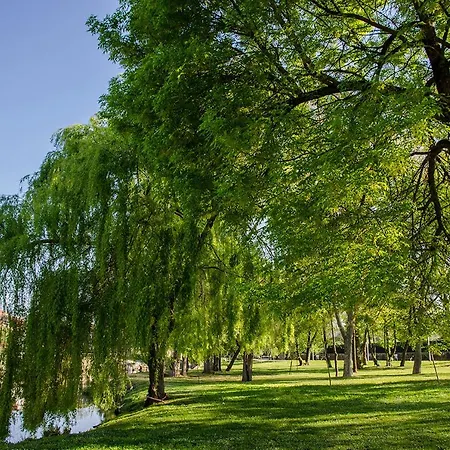 Morin Grey Casa En El Corazon De La Ribeira Sacra * Monforte De Lemos