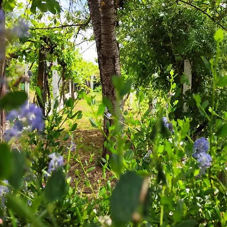 Morin Grey Casa En El Corazon De La Ribeira Sacra