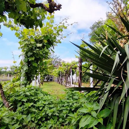 Morin Grey Casa En El Corazon De La Ribeira Sacra