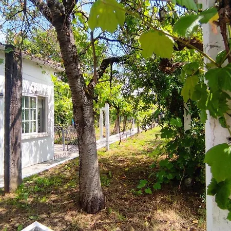 Tatil Evi Morin Grey Casa En El Corazon De La Ribeira Sacra