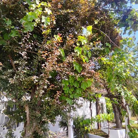 Morin Grey Casa En El Corazon De La Ribeira Sacra * Monforte De Lemos